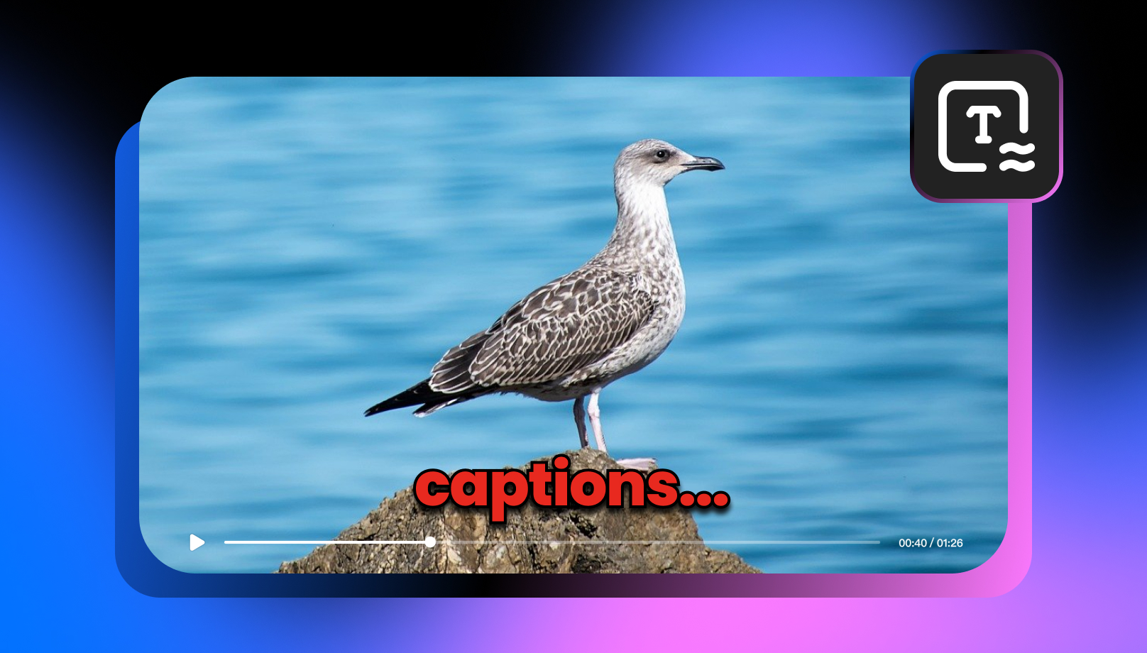 best-veed-alternatives-for-captioning-videos-automatically-2025