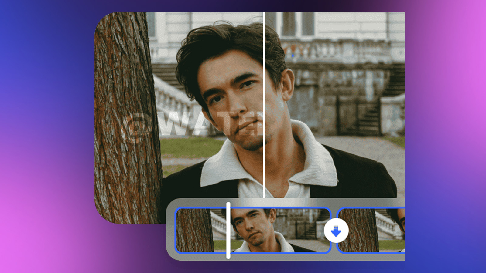 nano-banana-vs-veo-3-a-detailed-head-to-head-comparison-2